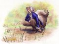 ah_1225292665639.ixerin_duskinpee.jpg